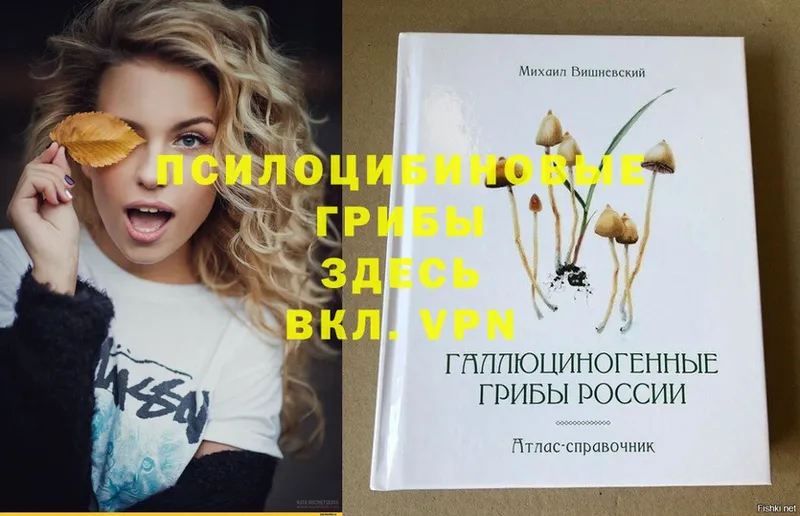 площадка Telegram  Кировск  Галлюциногенные грибы GOLDEN TEACHER 